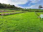 Grass pitches