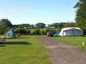 Electric grass tent pitches