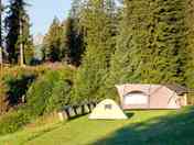 Tent pitch sheltered by trees