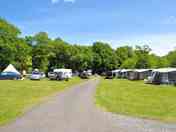Middle field pitches
