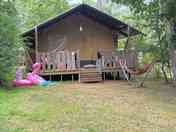 Safari tent shaded by trees