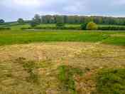 freshly mown large grass pitch