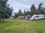 Tree-sheltered grass pitches
