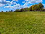 Green space