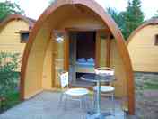 The pods