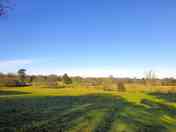 Lots of open space