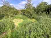 Pitch 10 tent site and fire area
