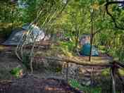 Forest pitch