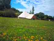 The open meadow