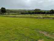 Electric grass pitches