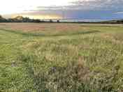 Grass tent pitches