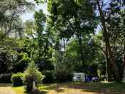 Pitches among the trees