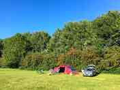 Our pitch