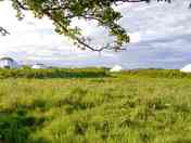Gorgeous yurts on site