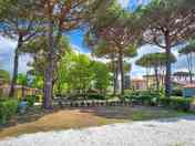 Large pitch under the trees