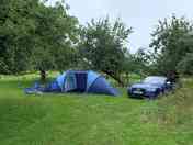 Tent set up