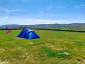 The camping field