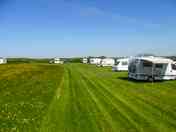 Grass pitches