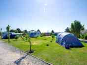 Non-electric grass pitches