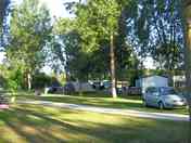 The site