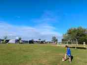 Little Kings camping field