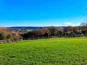 Campervan field