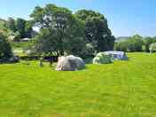 Grass pitches with trees around