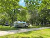 Pitch under the trees