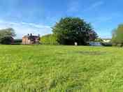 Grassy pitches