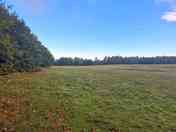 Wild camping area 7