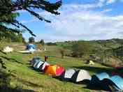 Grass pitches