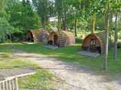 Glamping pods shaded by trees (added by manager 14 Nov 2023)
