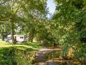 Grass riverside pitches with electric hook up at Rockbridge Park