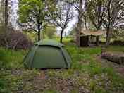 Tent pitch