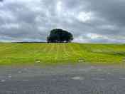 View of the site