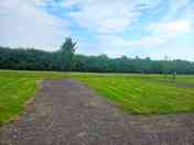 Campervan pitches sheltered by high hedges