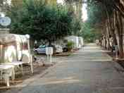 Pitches on site