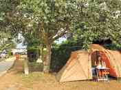 Each pitch is marked by hedges to ensure maximum privacy