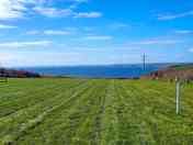 Grass pitch