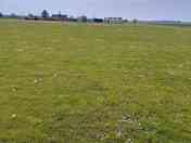 Grass pitches