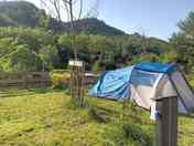 Grass pitch