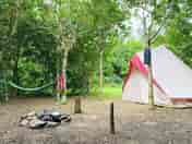 Spacious woodland camping pitch with stone firepit (added by manager 03 Aug 2020)