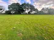 Grass tent pitches