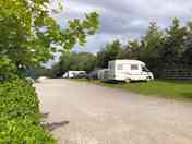 Hedge side pitches 1 onward
