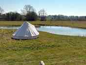 Bell tent by the pond