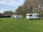Pitches by the treeline