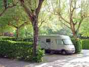 Min 100 sqm pitch, hedged