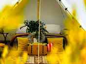 Interior of the superior 4 person bell tent (added by manager 30 Apr 2024)