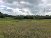A cloudy day at the farm