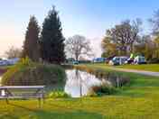 Lovely evening by the pond
